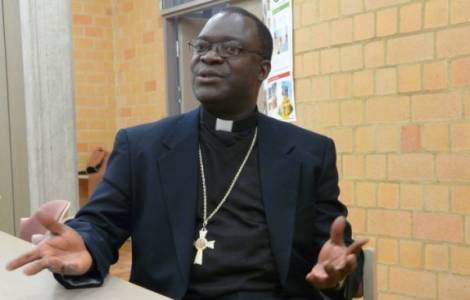 AFRICA/CONGO RD - “No hay mercenarios en mi diócesis”, afirma el Obispo de  Kilwa-Kasenga - Agenzia Fides