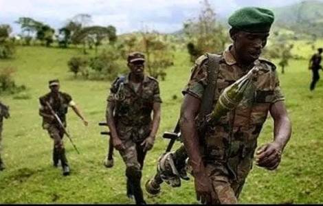 ÁFRICA/RD. CONGO - En Kivu Norte la guerra en el terreno va acompañada de  una guerra mediática. - Agenzia Fides