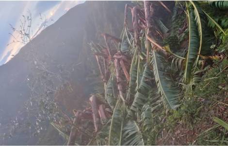 AMERICA/HAITI - Melissa, gangs, thefts, assaults, and kidnappings fail to quell hope for a better life